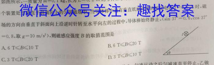 2024年湖南省普通高中学业水平合格性考试仿真试卷(专家版四)物理试卷答案