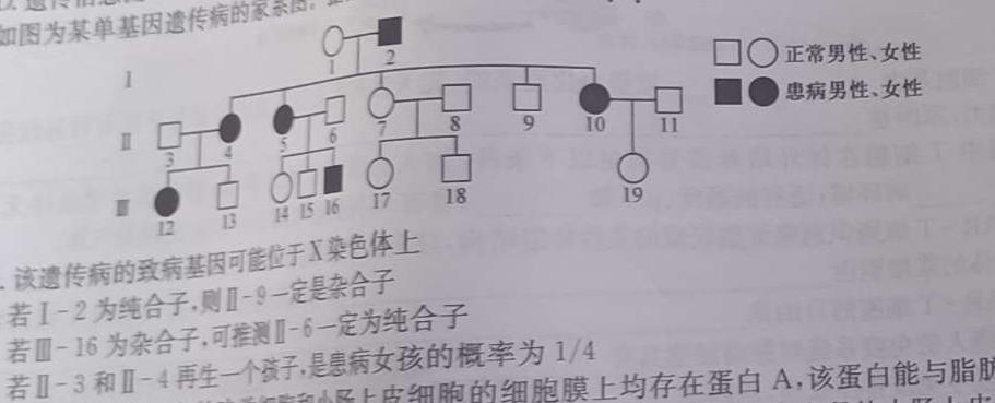 ［邯郸一检］邯郸市2025届高三年级第一次调研监测生物