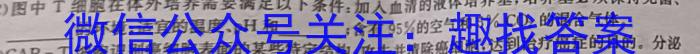 2024年宣城市三县九年级联盟素质检测卷（159）生物学试题答案