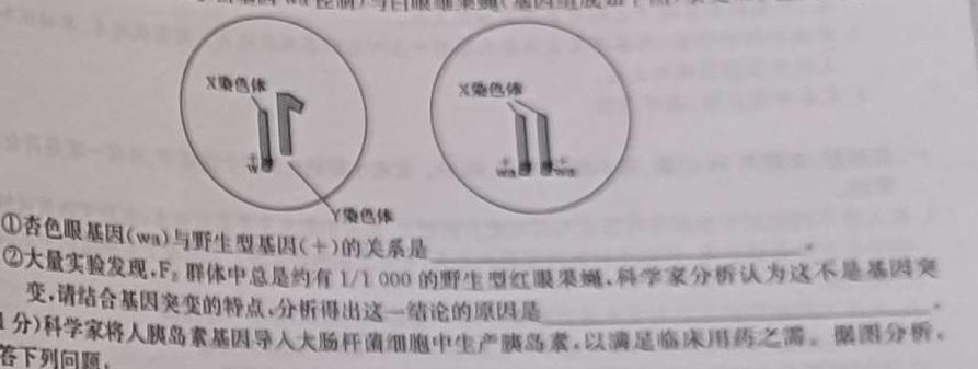 山东省日照市2021级高三模拟考试（2月）生物学