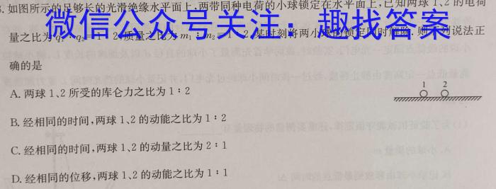 贵州省2024年初中学业水平考试全真模拟卷（一）物理试卷答案