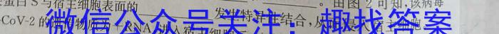 河北省石家庄市栾城区2023-2024学年度第二学期八年级期末教学质量检测生物学试题答案