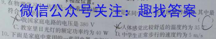 安徽省2024年九年级试题卷（一）4.7物理试卷答案