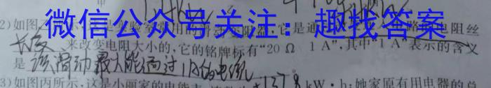 2024年安徽省初中毕业学业考试冲刺试卷(一)物理`