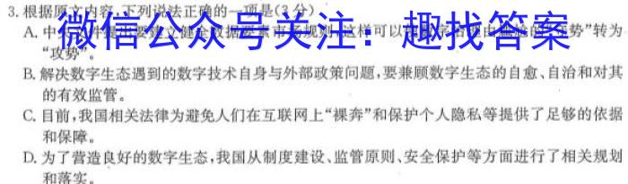 2024年河北省初中毕业生升学文化课考试模拟试卷（十三）语文