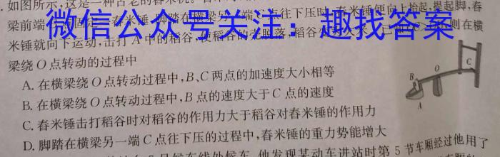 安徽省2023-2024学年度第二学期八年级作业辅导练习（一）物理