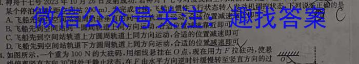 2024年葫芦岛市普通高中高三年级第一次模拟考试物理试卷答案