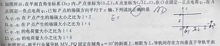 2024届河南省中考导向总复习试卷（二）物理试题.