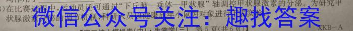 名思教育 2024年河南省普通高中招生考试试卷(金榜卷)生物学试题答案