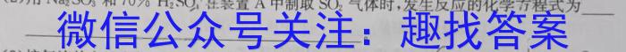 【精品】甘肃省定西市2024年毕业会考模拟监测卷（一）化学