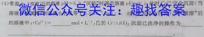 河北省邢台市2024-2025学年第一学期高二年级9月开学考试化学