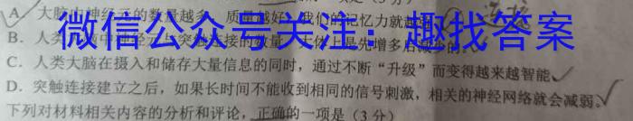 宿州市、市示范高中2023-2024学年度第二学期期中教学质量检测（高二）语文