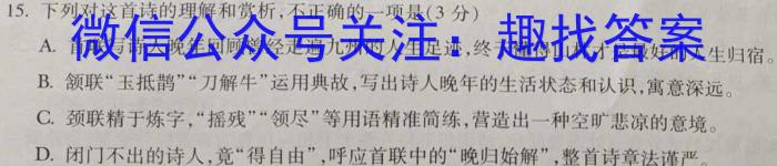 青海省2024届高三年级4月联考（◎）/语文