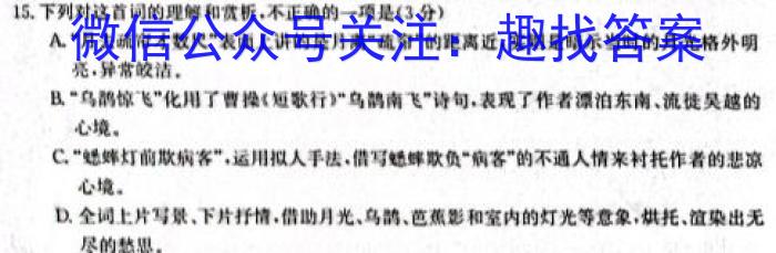 2024年陕西省初中学业水平考试(SX4)语文