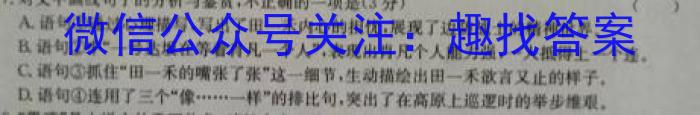 2024年浙江省普通高中学业水平适应性考试(6月)语文