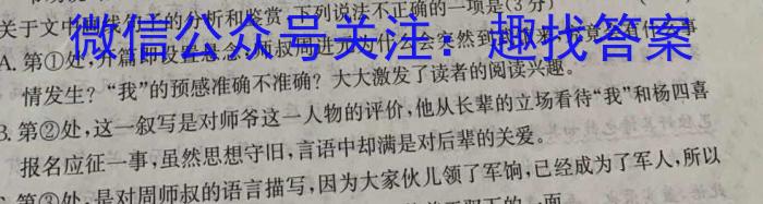 青桐鸣2024年普通高等学校招生全国统一考试 青桐鸣押题卷二语文