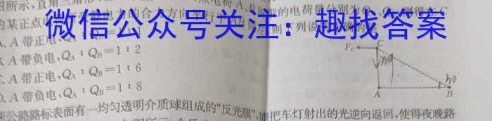 河南省许济洛平2023-2024学年高三3月联考物理试卷答案