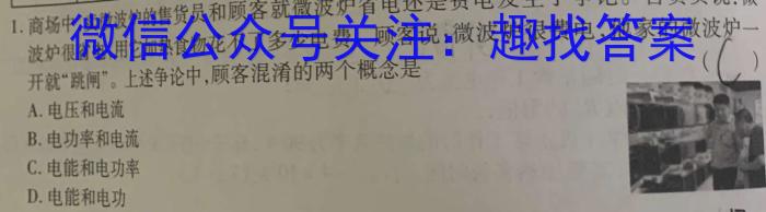 安徽省2024年中考密卷先享模拟卷(二)物理试卷答案