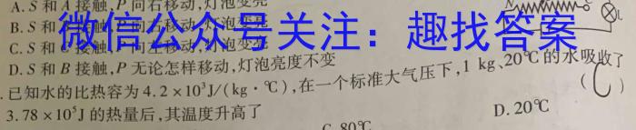 安师联盟 安徽省2024年中考仿真极品试卷(一)1物理`