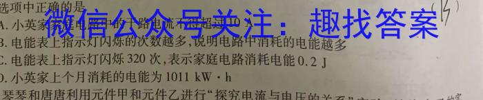 河南省周口市2024-2025学年第一学期八年级月考（二）物理试题答案