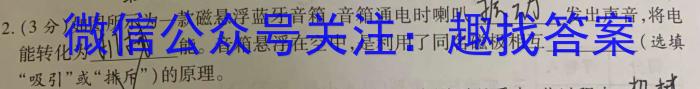 2024年陕西省初中学业水平适应性联考(三)q物理