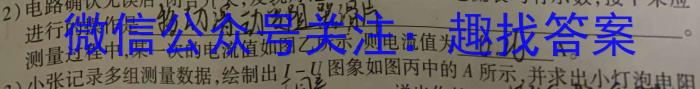 天壹名校联盟2024年普通高中学业水平选择性考试冲刺压轴卷(一)物理