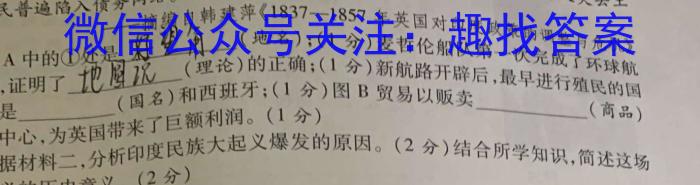 2024届武汉二中高三5月模拟考试历史试题答案