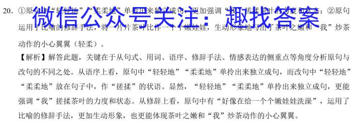 2024届陕西省九年级学业水平模拟测试(A)[MNZX G SX]语文