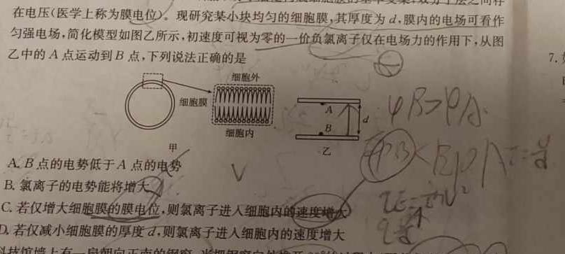 河北省2024届高三年级模拟考试（3.19）物理试题.