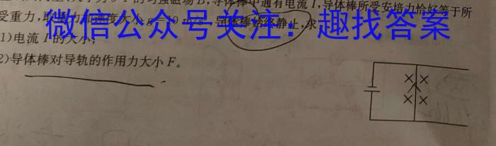 广东省2023-2024学年下学期佛山市普通高中教学质量检测（高二期末）物理试题答案