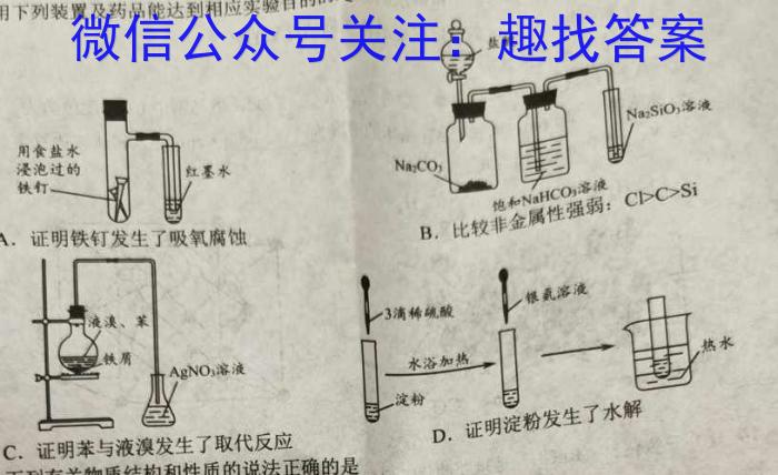 【热荐】2024届广东省清远市十校高三下学期第二次模拟考试化学