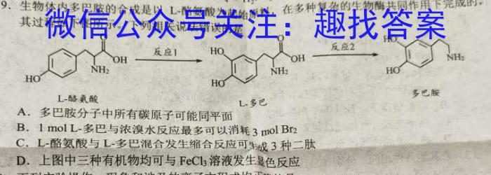 3新疆兵地联盟2023-2024学年度高一年级第二学期期中考试化学试题