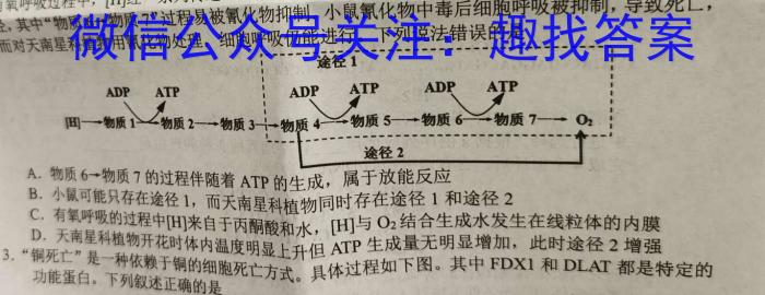 昆明市2024届"三诊一模"高三复习教学质量检测生物学试题答案