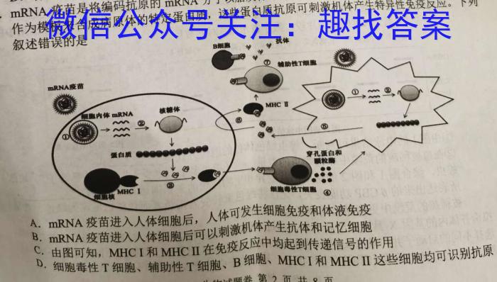 (网络收集)2024年新课标卷文综生物学试题答案