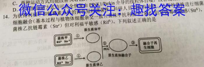 湖南省长郡教育集团2024年春季九年级期中限时检测试卷生物学试题答案