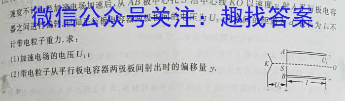 天一大联考2024年河南省普通高中招生考试考前定位试题物理`