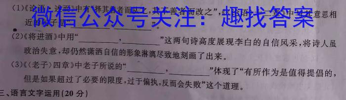 吉林省2024届朝阳区七校九年级适应性练习语文