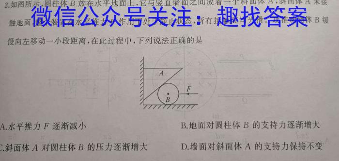 第九届湖北省高三(4月)调研模拟考试(2024.4)h物理