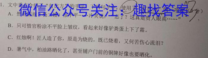 陕西省2024年九年级仿真模拟示范卷 SX(一)语文