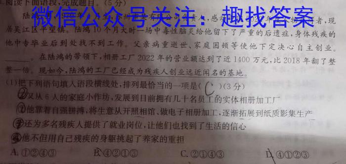 河南省2023-2024学年度下学期九年级培优监测试题语文