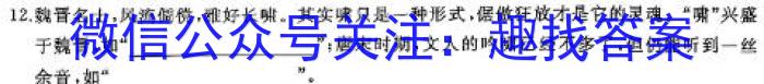 天一大联考·陕西省2024届高三年级4月联考语文