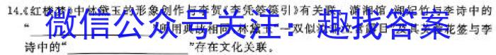 江西省2024年初中学业水平考试冲刺（三）语文