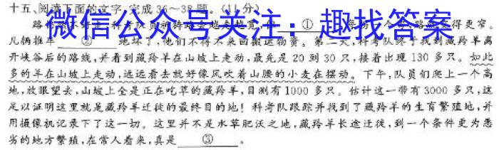 ӱʡNT2023-2024ѧڶѧڸһ꼶ĿxԾ