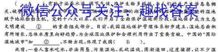 安徽省2023-2024学年第二学期九年级教学评价一语文