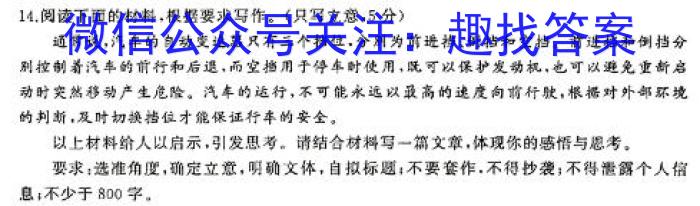 2024年陕西省初中学业水平考试全真模拟试题A（二）/语文