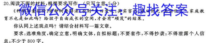 安徽省2024年九年级教学质量检测(CZ147c)/语文