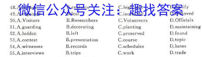 河南省洛阳市2024-2025学年高一第一学期期中考试英语