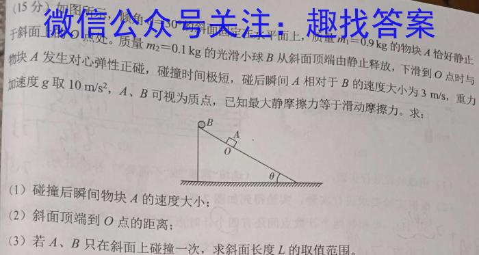 陕西省2024-2025学年度第一学期开学收心检测卷（高二）物理试卷答案