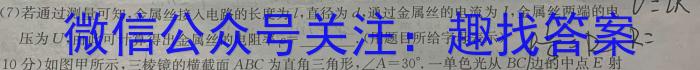 2024年湖南省初中学业水平考试模拟试卷(三)3物理试题答案