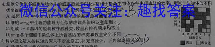 福建省2024届九年级期中综合评估 6L R生物学试题答案